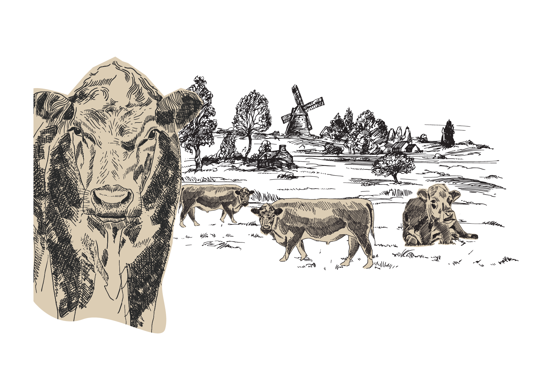 Vaca pastando